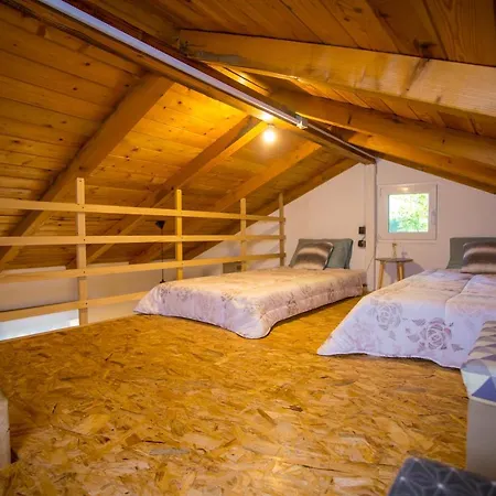 Holiday Nature House